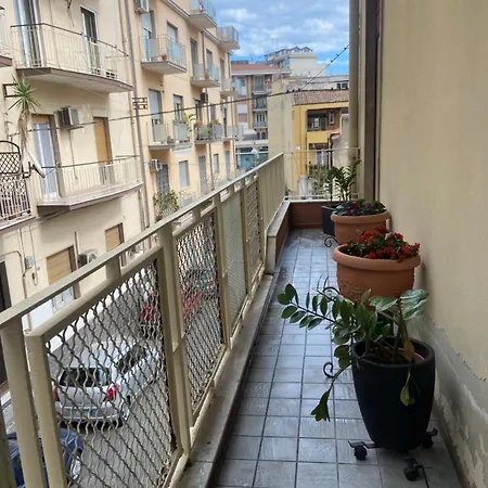 Amocatania